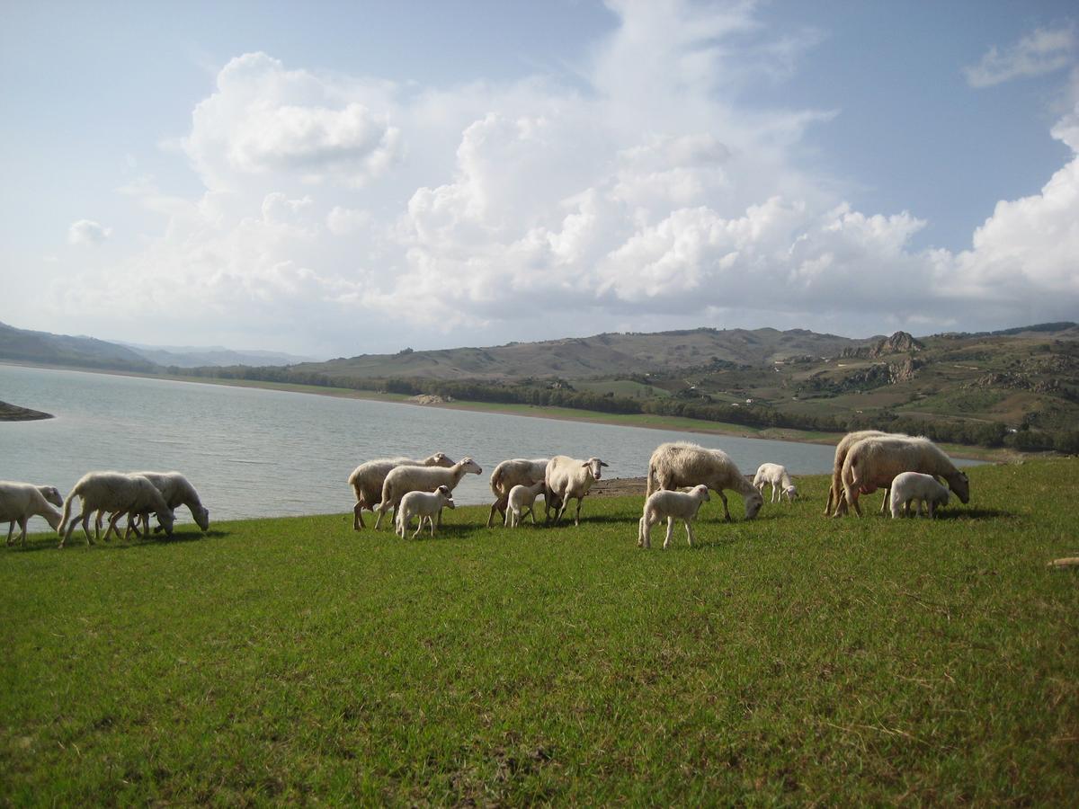Oasi Del Lago Regalbuto Екстериор снимка